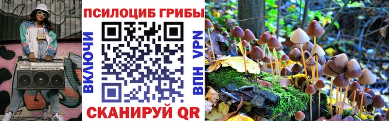 MEGA сайт  Козельск  Галлюциногенные грибы GOLDEN TEACHER 