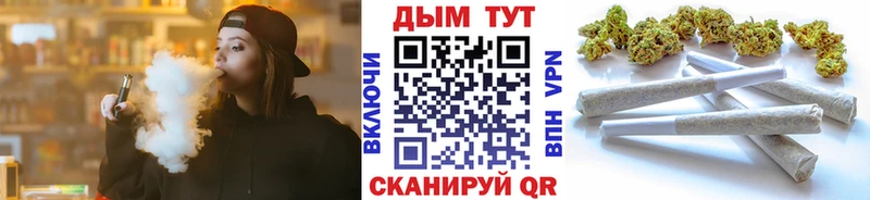 магазин продажи наркотиков  гидра   Конопля SATIVA & INDICA  Козельск 